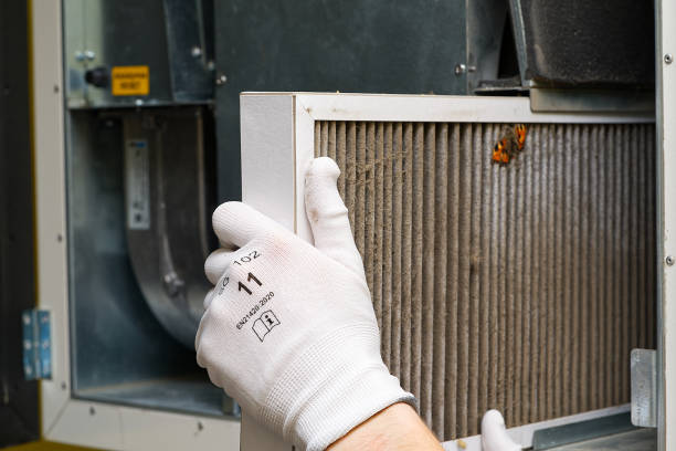 Best Affordable Duct Cleaning Services  in Imperial Beach, CA