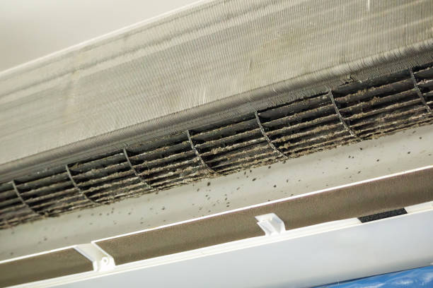 Best Air Quality Test  in Imperial Beach, CA